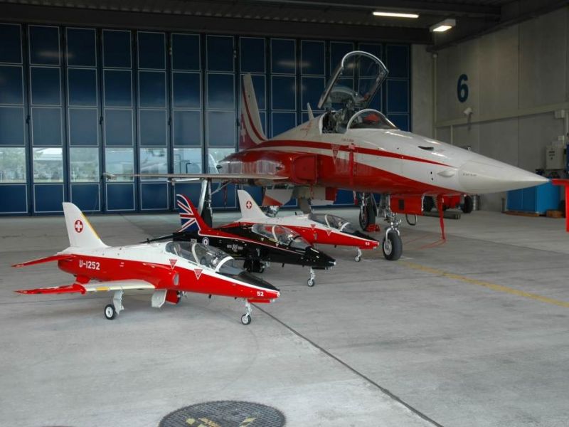 Skygate Hawk mit PS Tiger Skygate Hawk mit PS Tiger